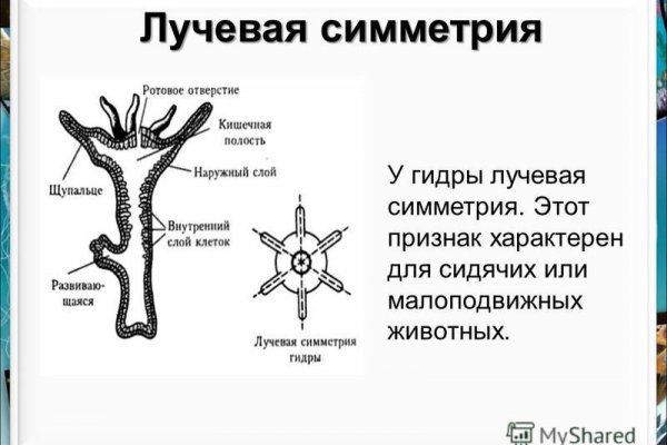 Кракен зеркало